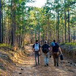 Members of the ATO team on their way to complete an exercise.