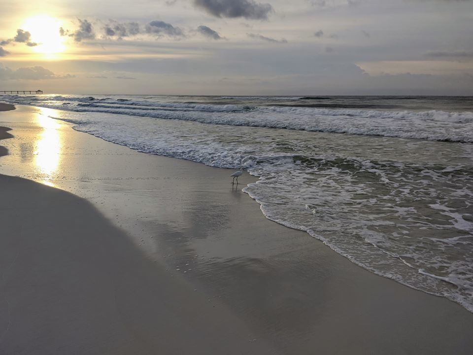 The beautiful beaches of Florida